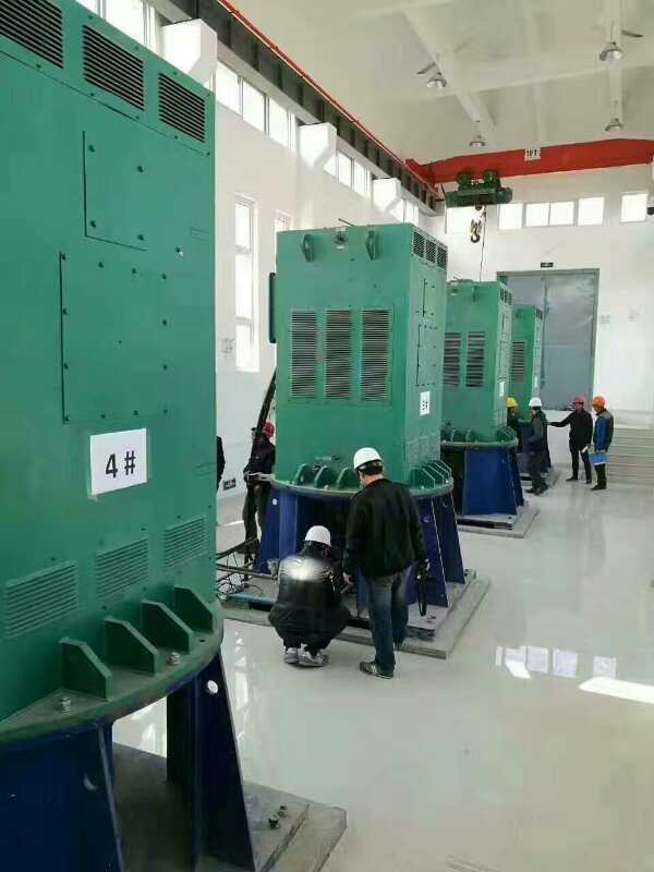 衢州某污水处理厂使用我厂的立式高压电机安装现场